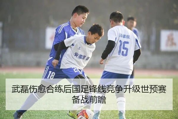 武磊伤愈合练后国足锋线竞争升级世预赛备战前瞻